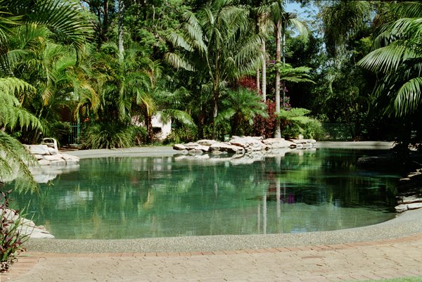 Bonville Golf Resort Billabong style swimming pool