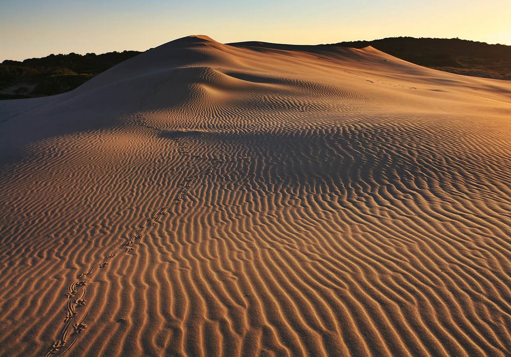 Peron Dunes