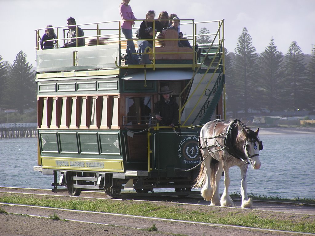 Horse-drawn tram, Victor Harbour