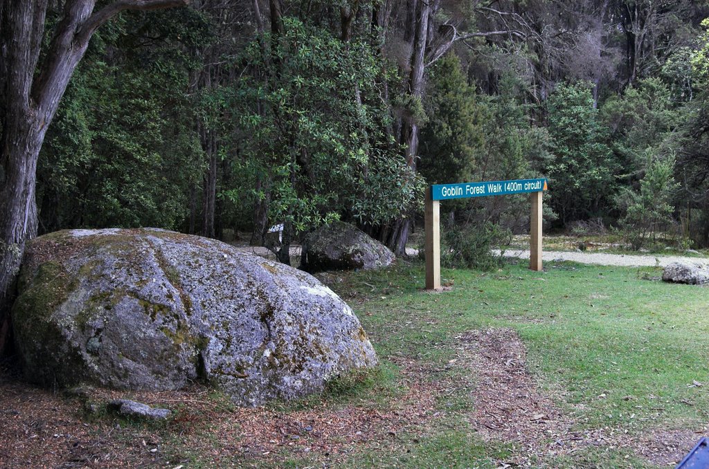 Goblin Forest Walk, Poimena