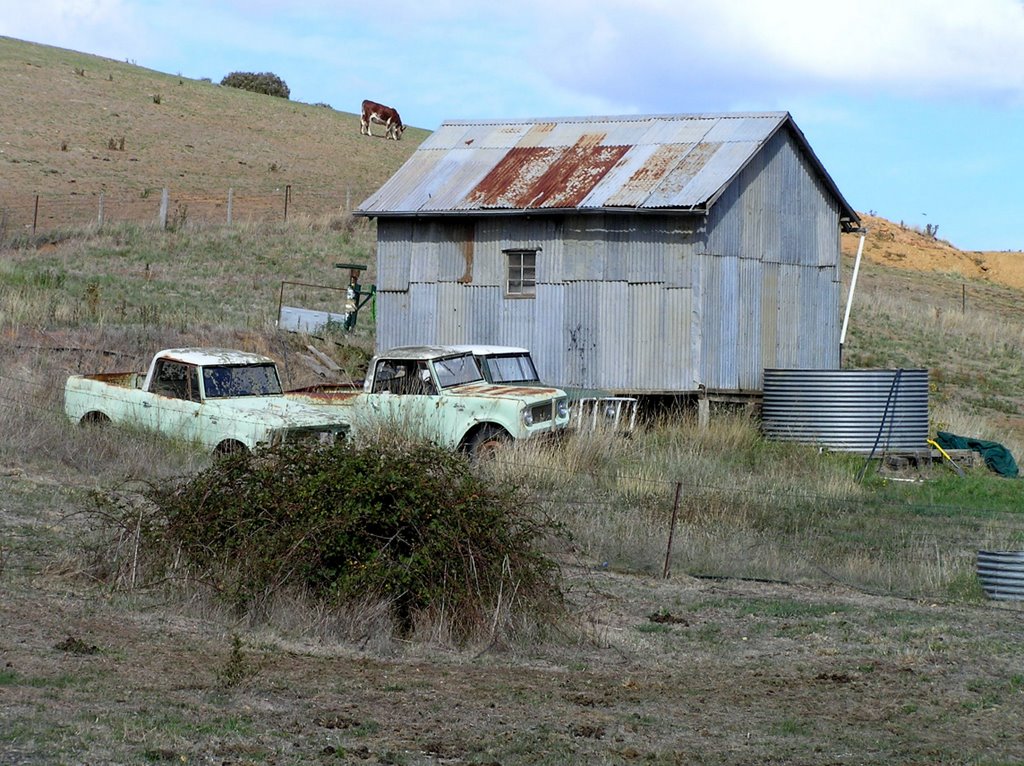 Rust, relics and ruminant  -  Omeo