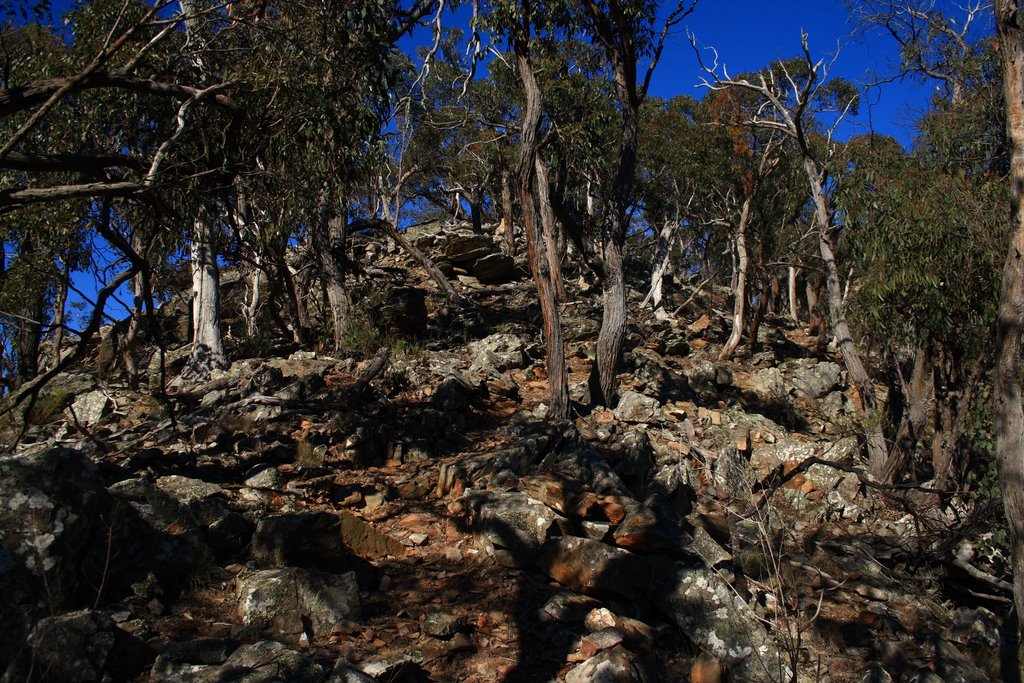 Steep Hill, Burchell Trail (Brisbane Ranges NP) 