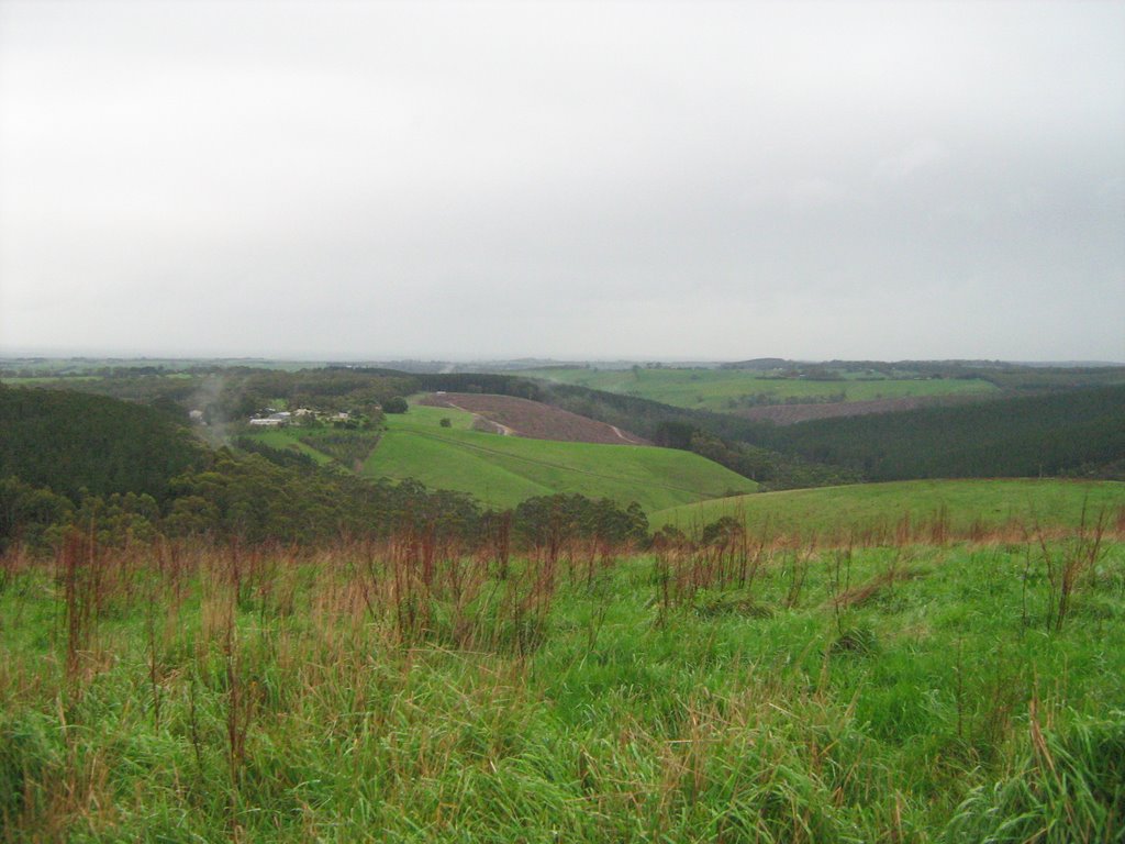 Fields near Deans Marsh, Vic