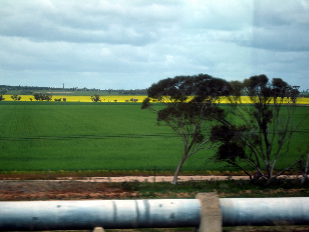 Rail trip between Kalgoorlie and Perth 3