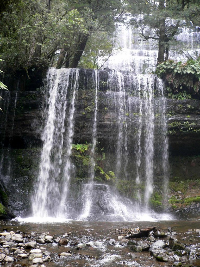 Russell Falls- Tasmania
