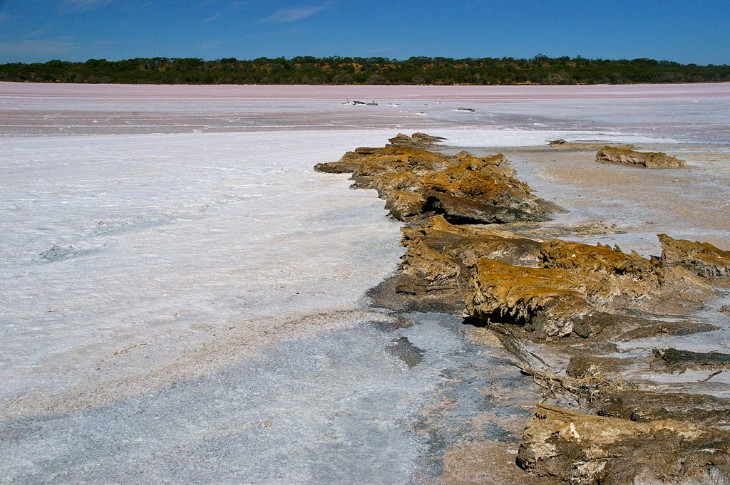 Pink salt lake