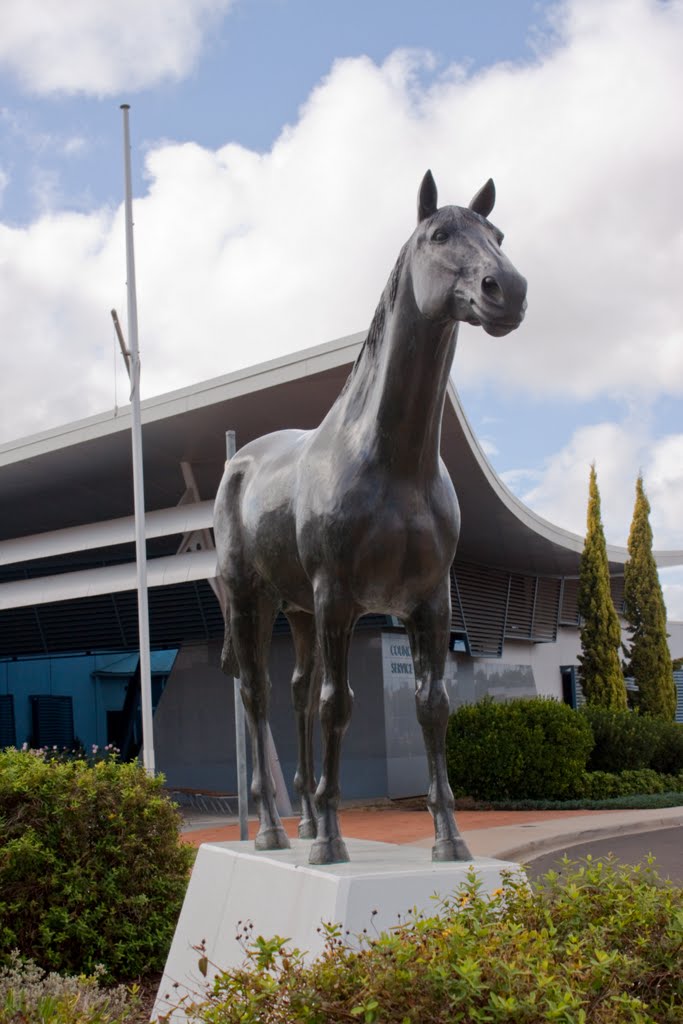Statue of Bernborough Race Horse in Oakey