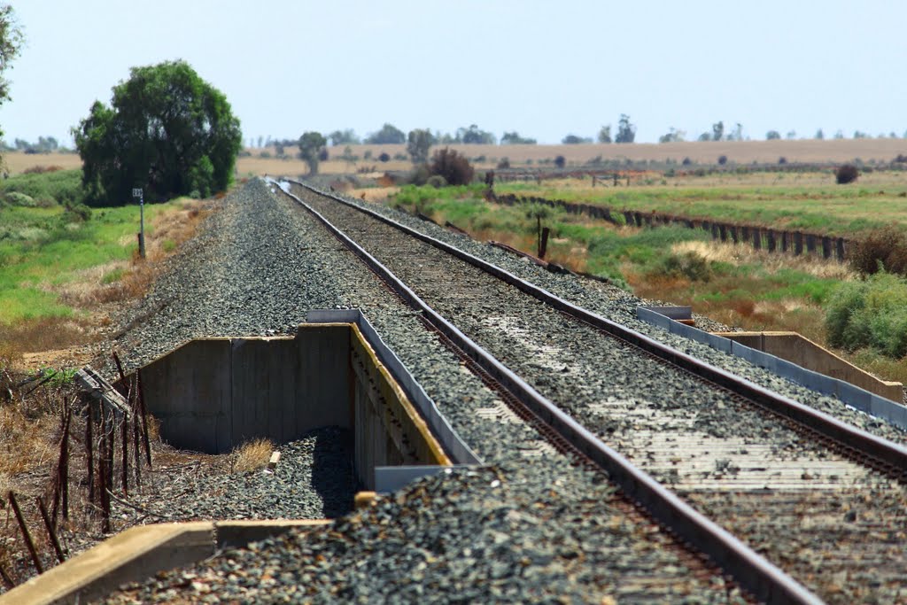 Mayfield Rd Crossing - north to Swan Hill