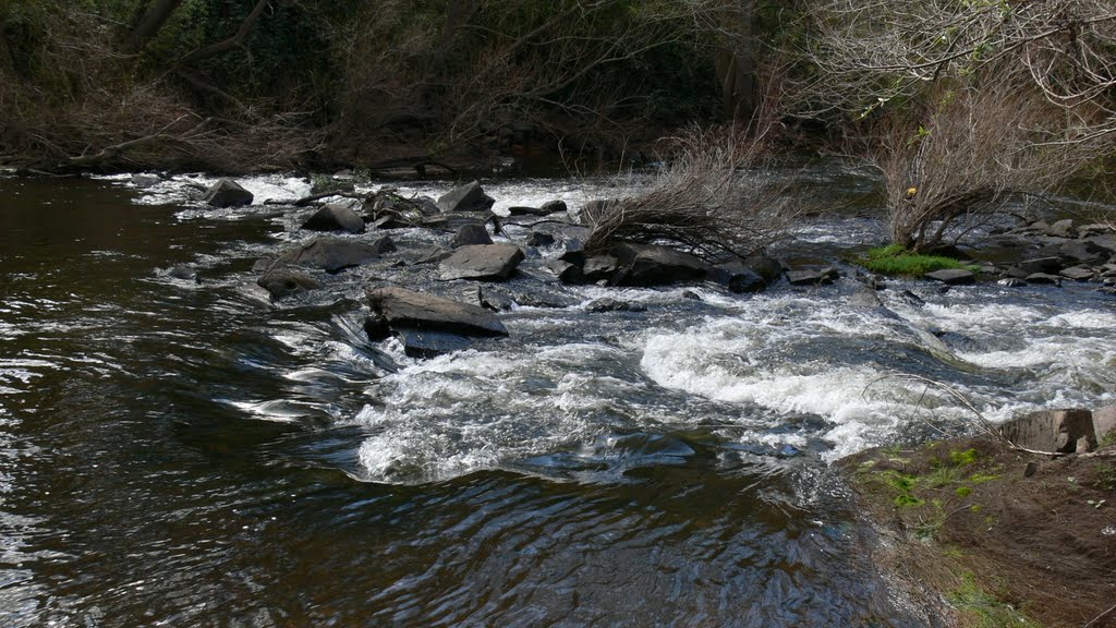 Mitchel River
