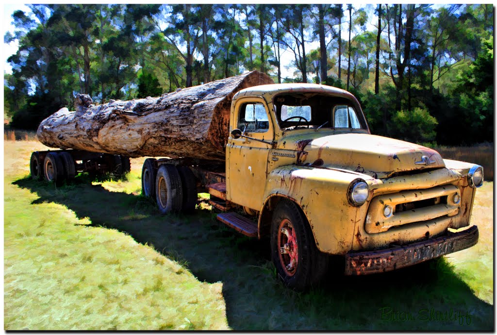 Old Logging Truck - Bilpin