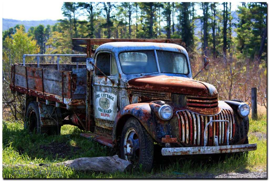 Old Truck - Berambing