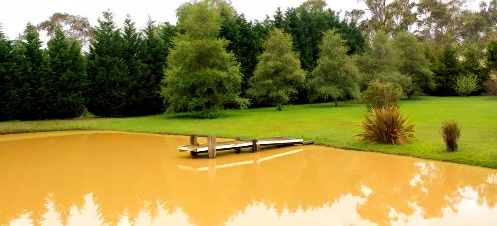 Aylmerton Pond (Private)
