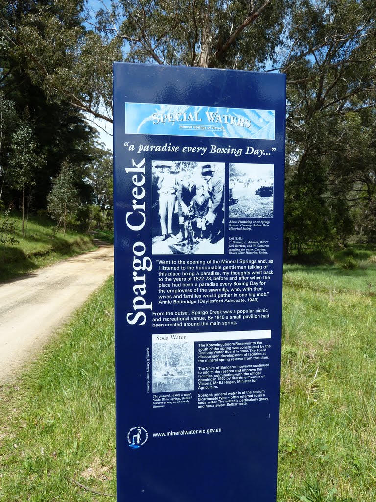 Spargo Creek Mineral spring Info.