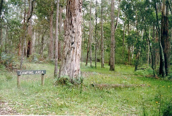 Crawford Forest Park, Hiscocks camp ground