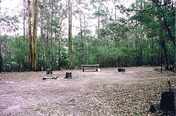 Lake Tyers Forest Park; Cameron Arm bush camp