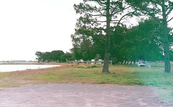 Lake Colac - Meredith Park camp ground