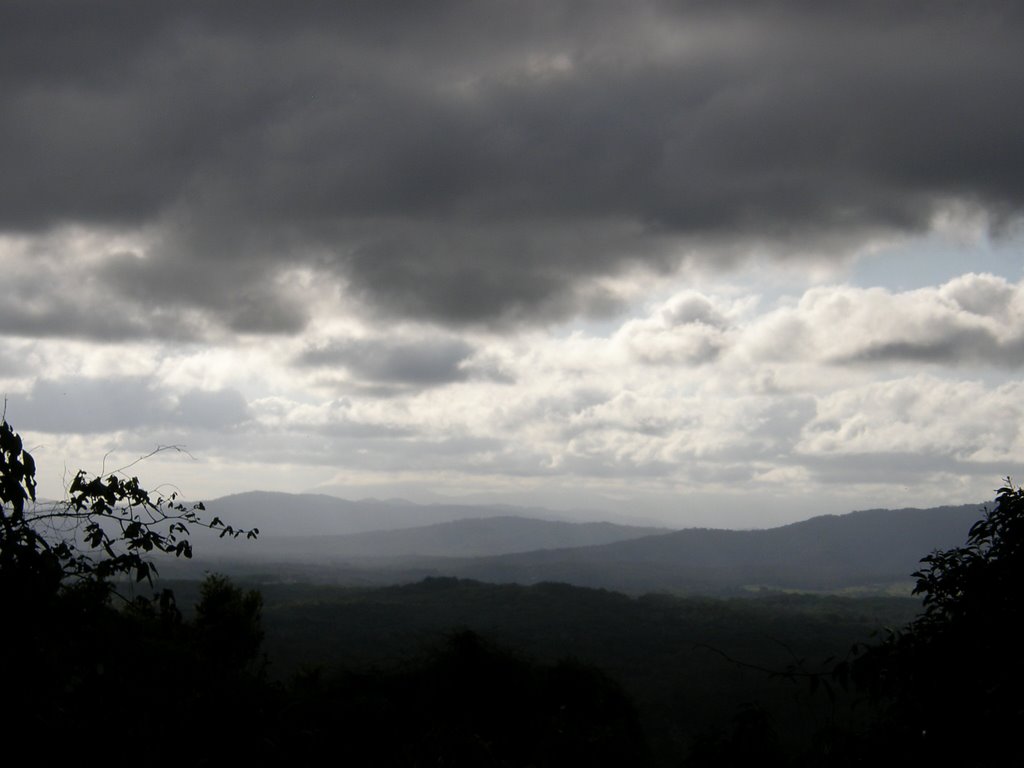 Rainforest with clouds (near Cairns)
