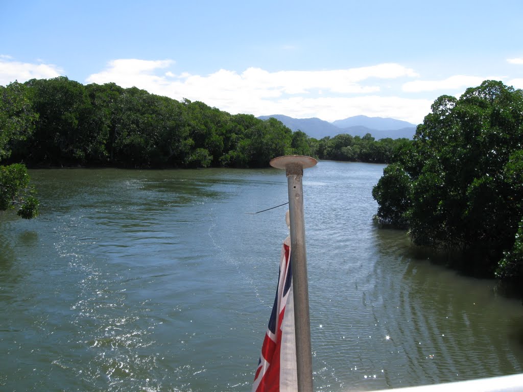 Mangroves, Home of Crocodlus Porosus,Saltwater Crocodile. Tropical North Queensland Australia.