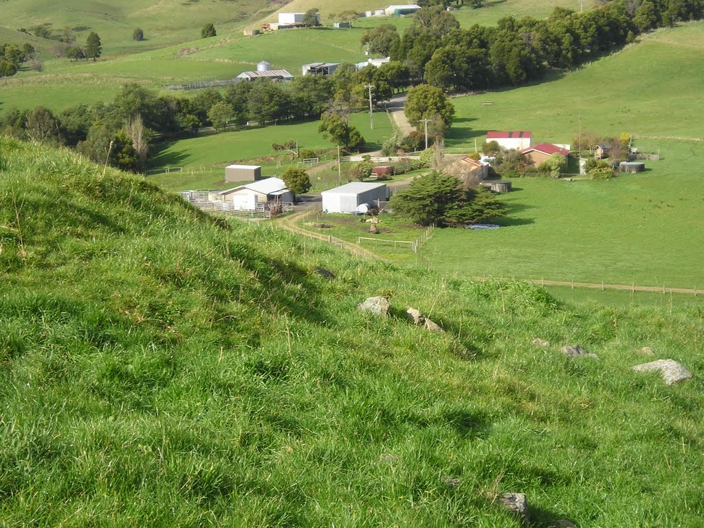 Red Hill Sheep Dairy farmhouse