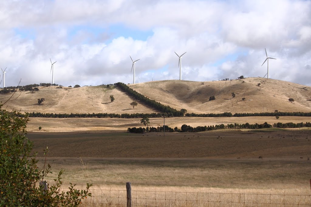 Challicum Wind Farm