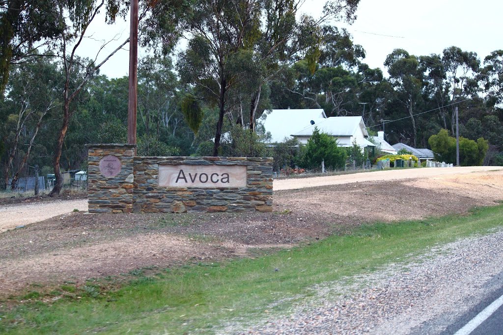 Welcome to Avoca