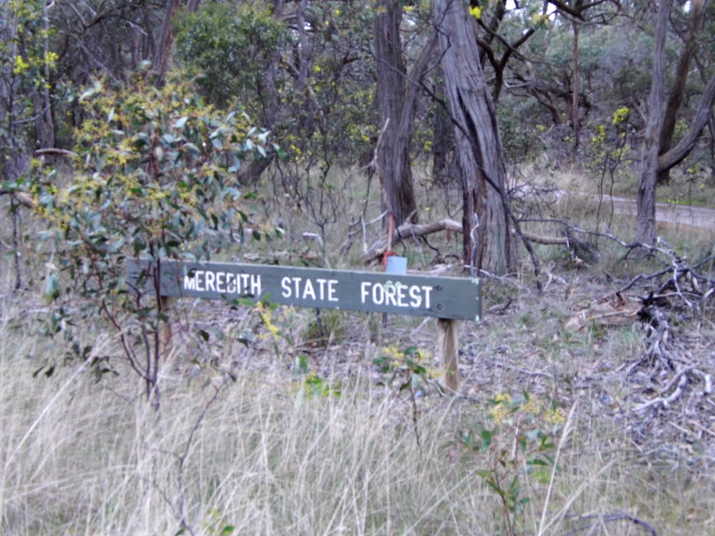 MEREDITH STATE FOREST