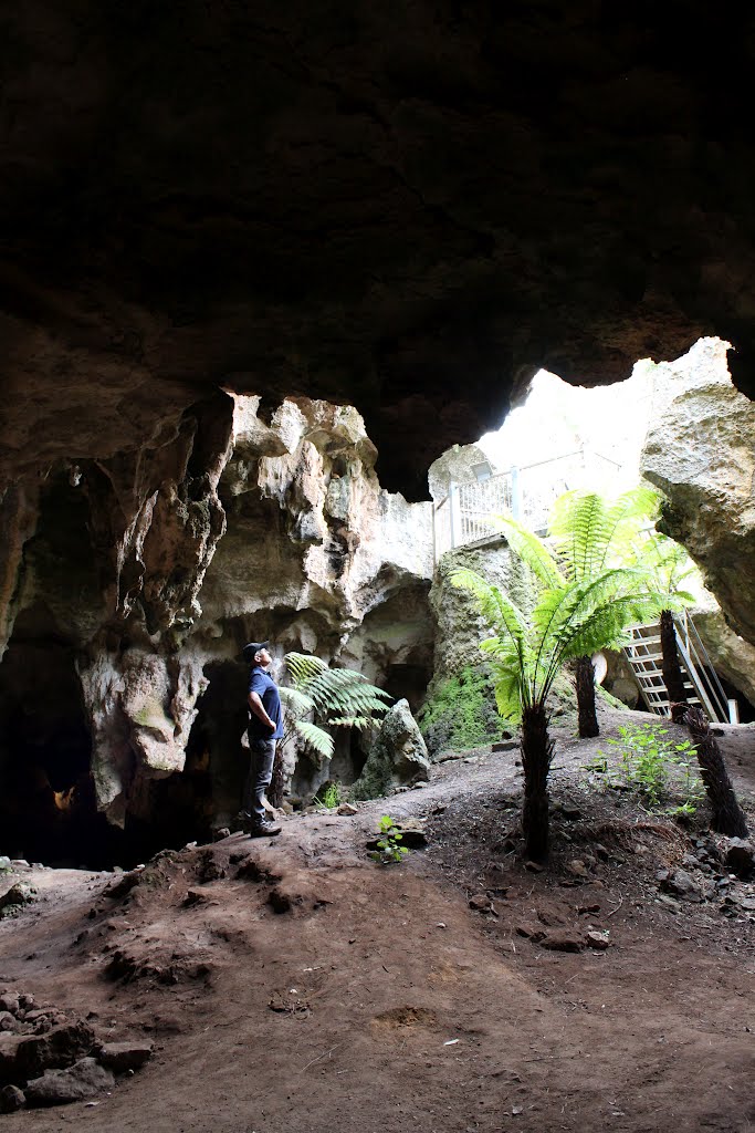 Naracoorte Caves 