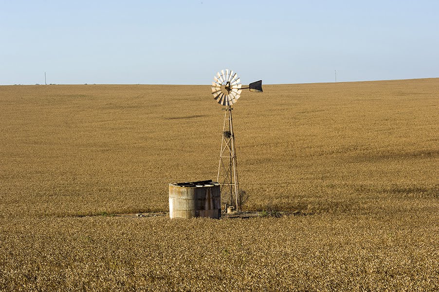 Greenough  farm windmill
