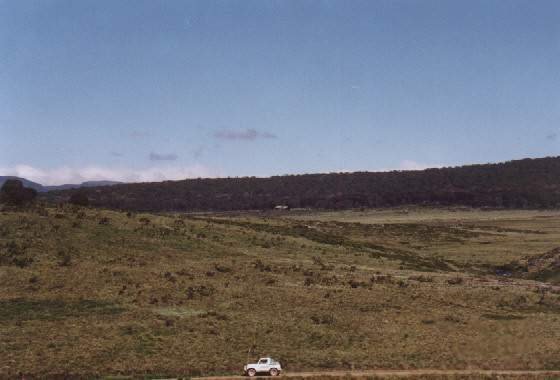 Dingo Hill Track